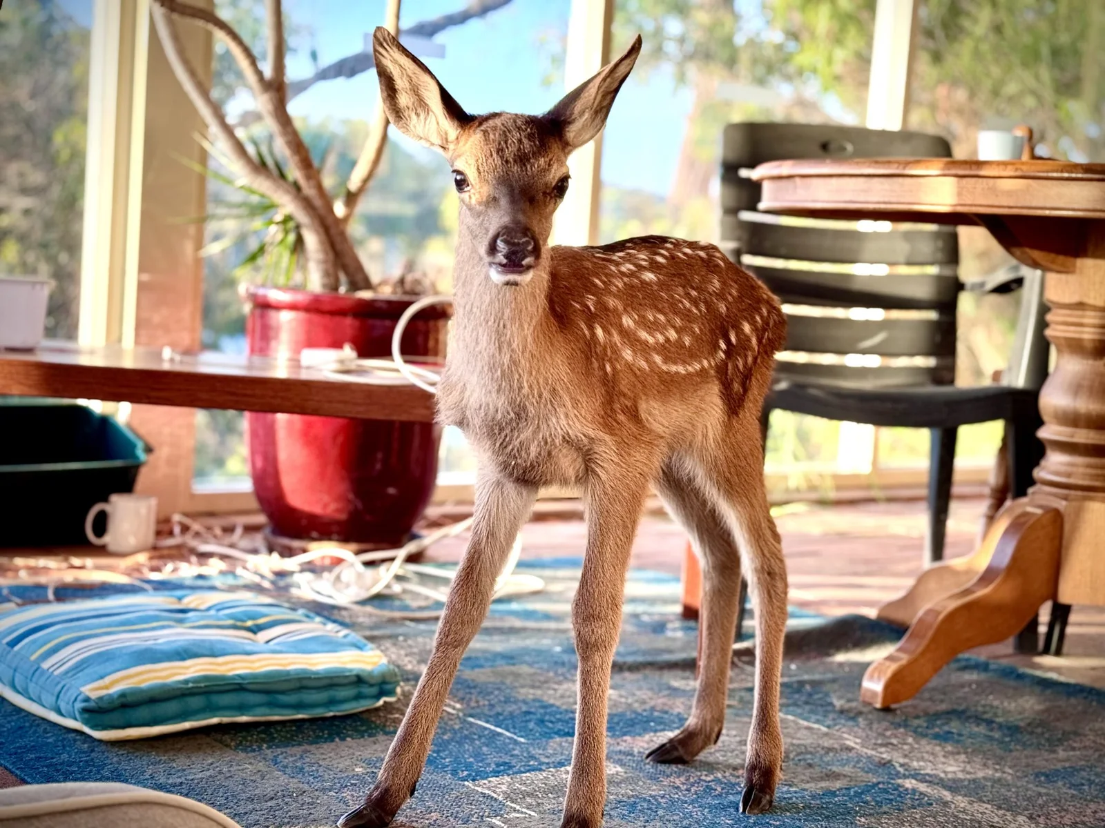 Rani — When Protection Meant Standing Firm