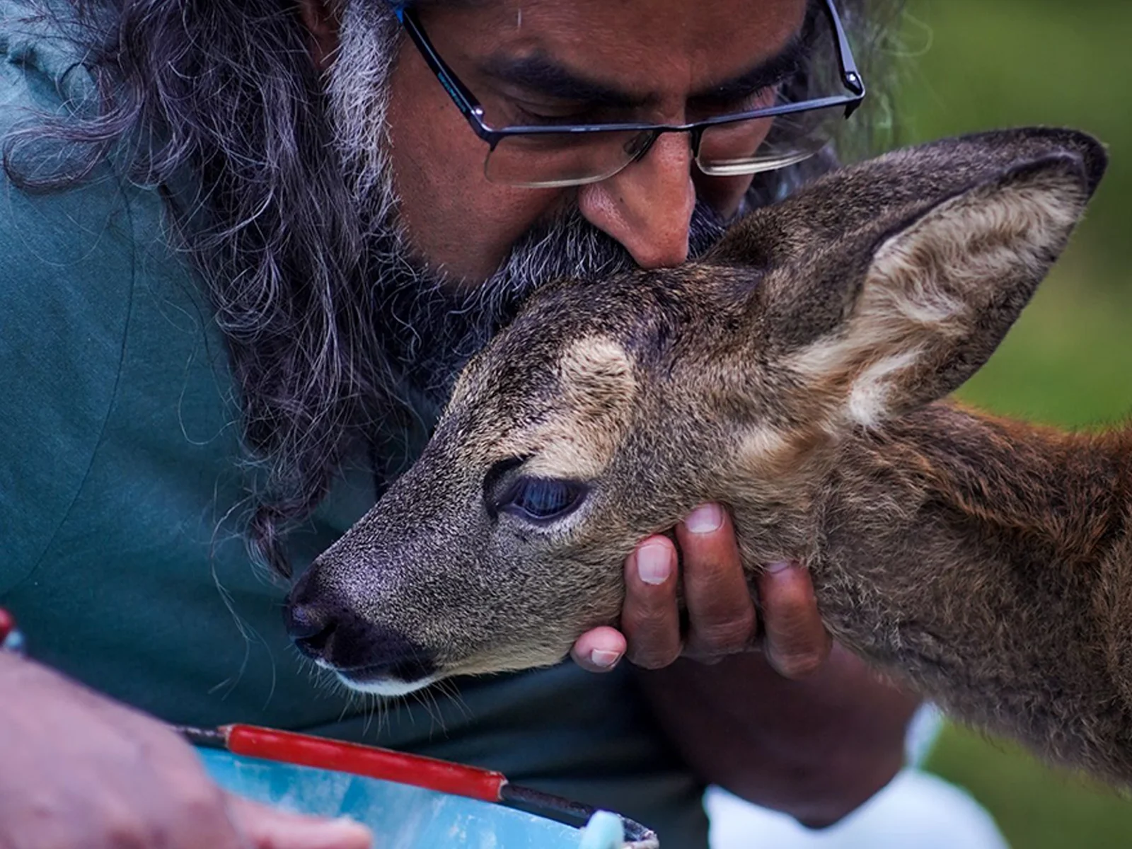 Raja – A Rescue Guided by Compassion